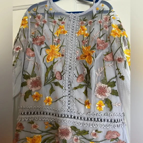 ASOS | Dresses | Asos Tulle Embroidery Dress | Poshmark